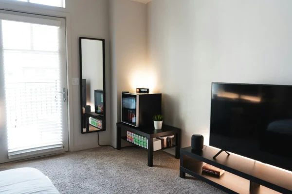 Modern living room with TV, beverage cooler, mirror, potted plant, and furniture on gray carpet near glass door.