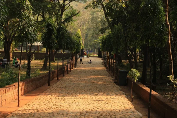 Tree-lined sandy pathway in a park with visitors walking and sitting, bordered by brick walls and lush green foliage.